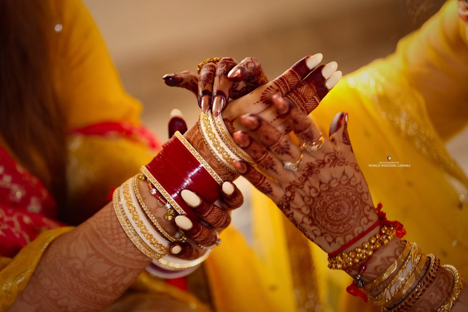 Wedding Photographers in Mohali (4)